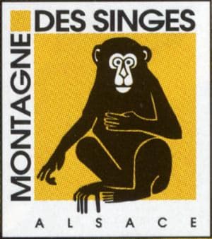 Montagne des singes