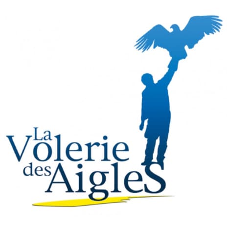 volerie des aigles