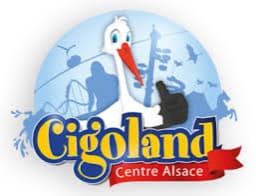 cigoland